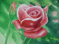 96da7ba3d338fdaa64a44ecfd7a0f53f_1622088662_0643.jpg